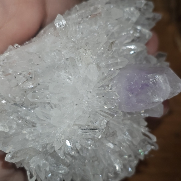 chrysanthemum amethyst cluster - Picture 8 of 9